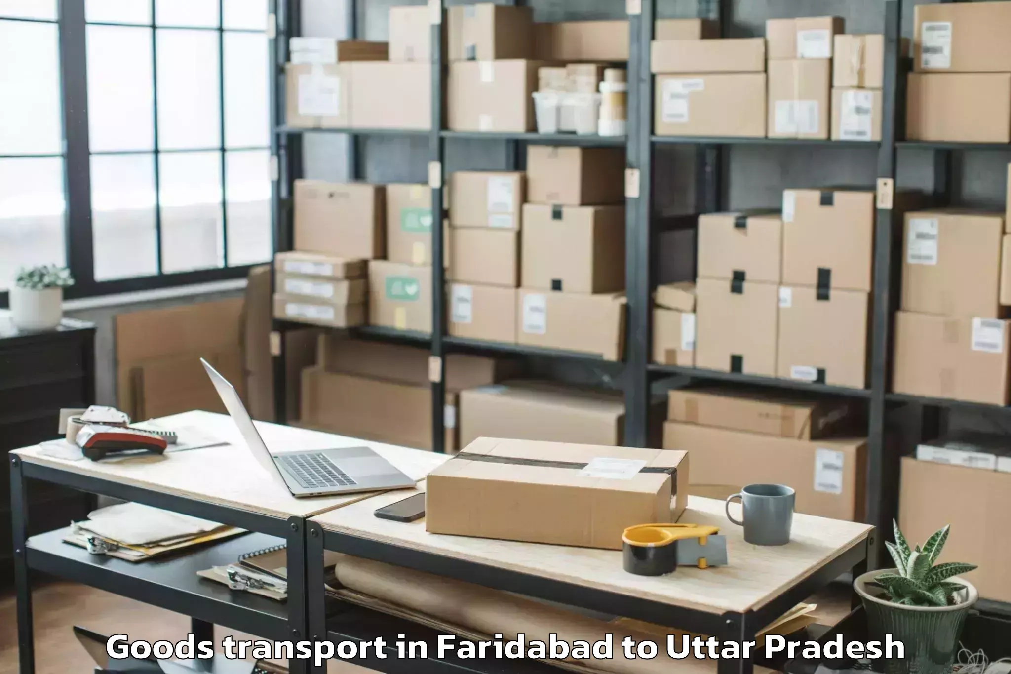 Trusted Faridabad to Mahagun Metro Mall Goods Transport